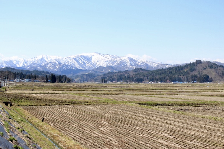 春の雪山と田んぼの玉庭の風景